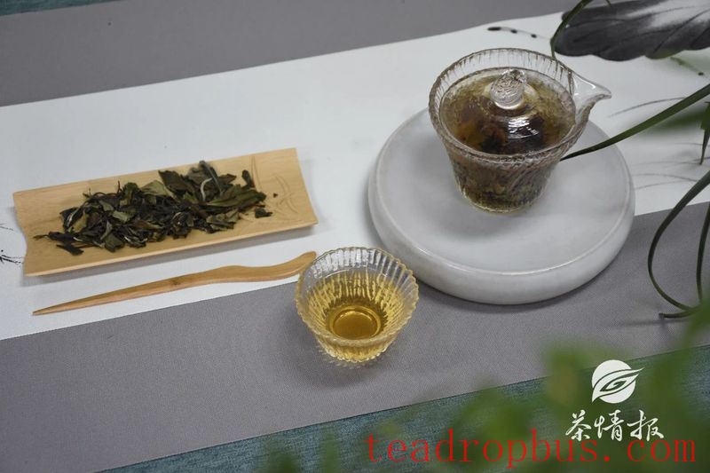 Everyone Says White Tea Is Good, But What Exactly Is So Great About White Tea?-8