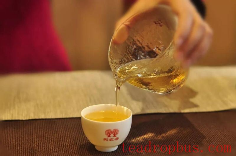CaiNong Tea: Appreciating Pu'er - Drinking at the Right Temperature-3