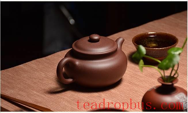 Nourishing a Teapot: How Long Does It Take to See Results?-3
