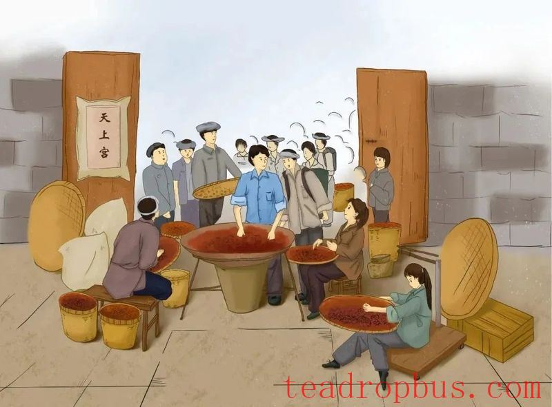 The Story of Yibin's 'Sichuan Hong Gongfu' Black Tea: Part Five - The Birth of Sichuan Black Tea-4