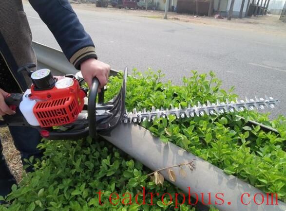 Specific Measures for Mechanical Tea Pruning-3