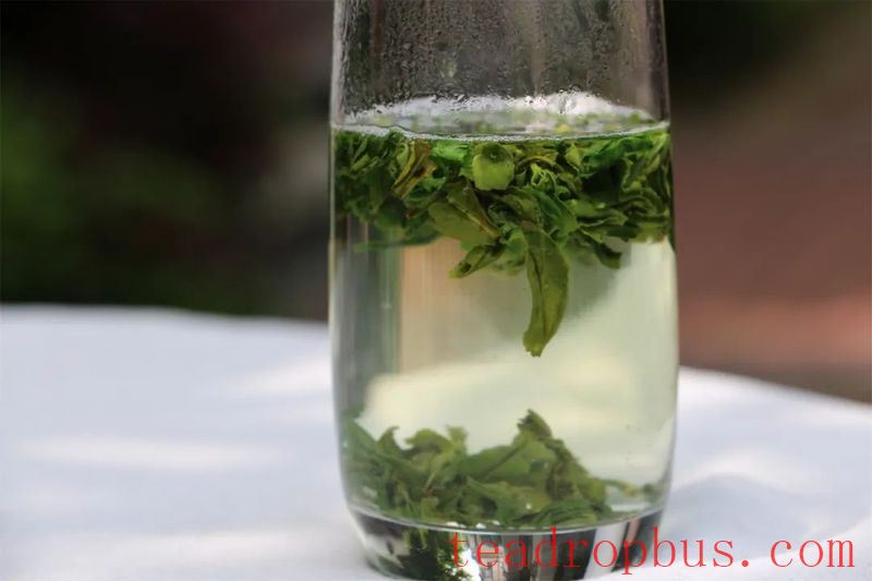 Summer is here, what tea can you drink to beat the heat and dispel dampness?-5