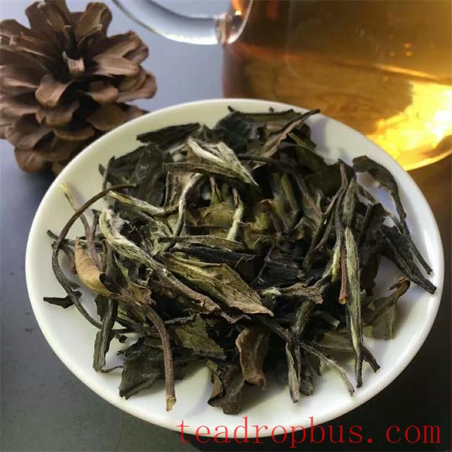 Why is good tea not afraid of boiling water? Can all good teas be brewed with boiling water?-3
