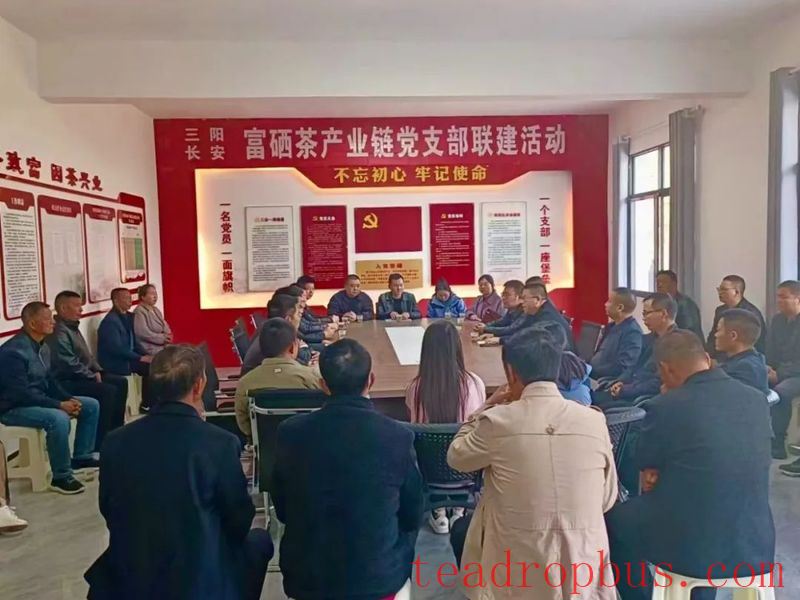Sanyang Town: Empowering the Tea Industry through Party Building for Prosperous Villages and Enriched People-2