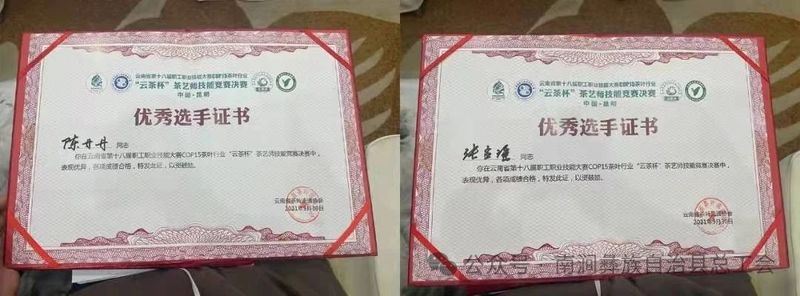 Nanjian County Implements Precision Talent-Gathering Plan to Support the Construction of a Tea Industry Workforce-4