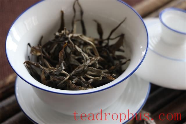 Bitter and Unpalatable Tea Infusions? What Are the Techniques for Brewing Pu'er Tea for Beginners?-1