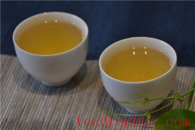 The Benefits and Taboos of Raw Pu'er Tea-2