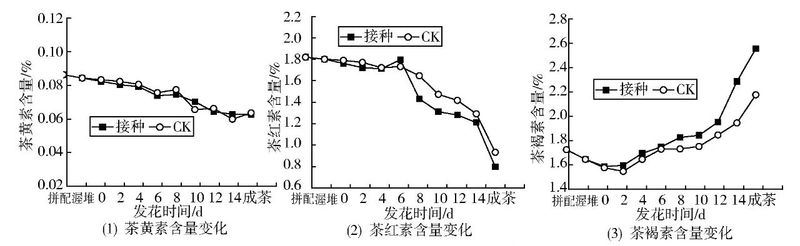 Functional Components and Developmental Utilization of Anhua Dark Tea-2