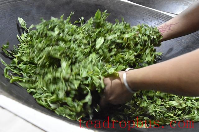 Which Teas Require the Process of Fixation?-2