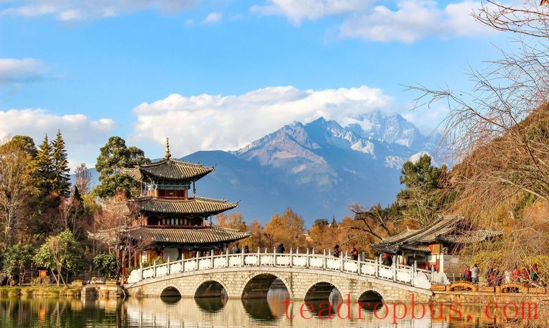A French Journalist Visits Yunnan's Millennia-Old Tea Horse Road-2