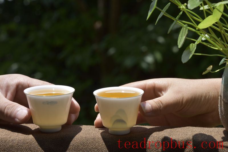 How to Choose Pu'er Tea for the Start of Fu?-1