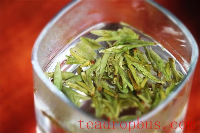 Limit the Number of Infusions for Tea Leaves-1