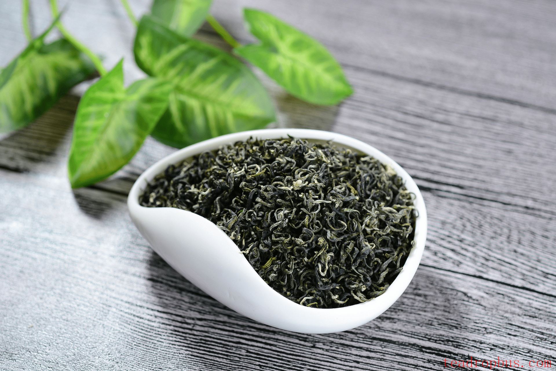 How to Brew Biluochun? A Hint of Fresh Aroma in Spring-1