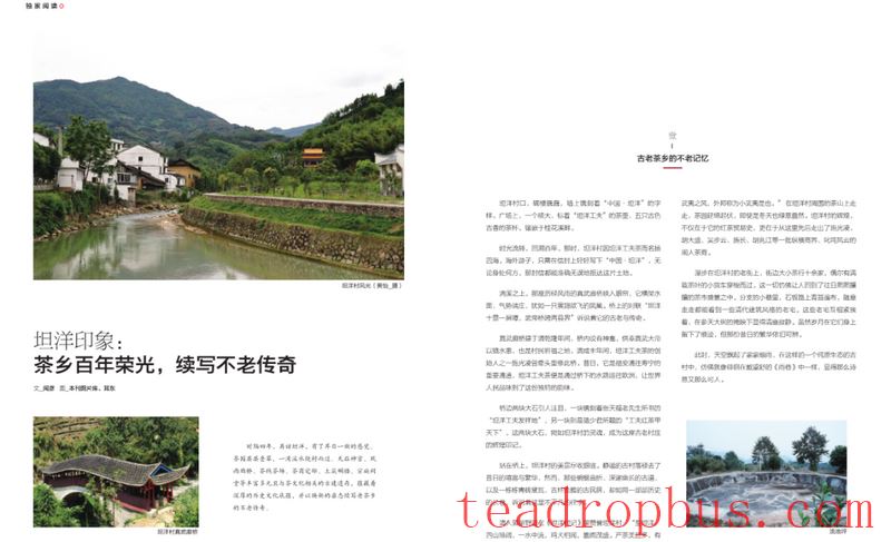 Ties with TanYang: The Legend of a Tea and a Village-3
