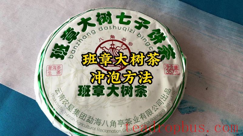How to Drink Ban Zhang Tea: Brewing Method for Ban Zhang Large Tree Tea-1