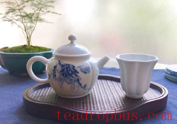 Several Kinds of Teas That Help Burn Fat: Weight Loss and Detoxification Depend on Them!-1
