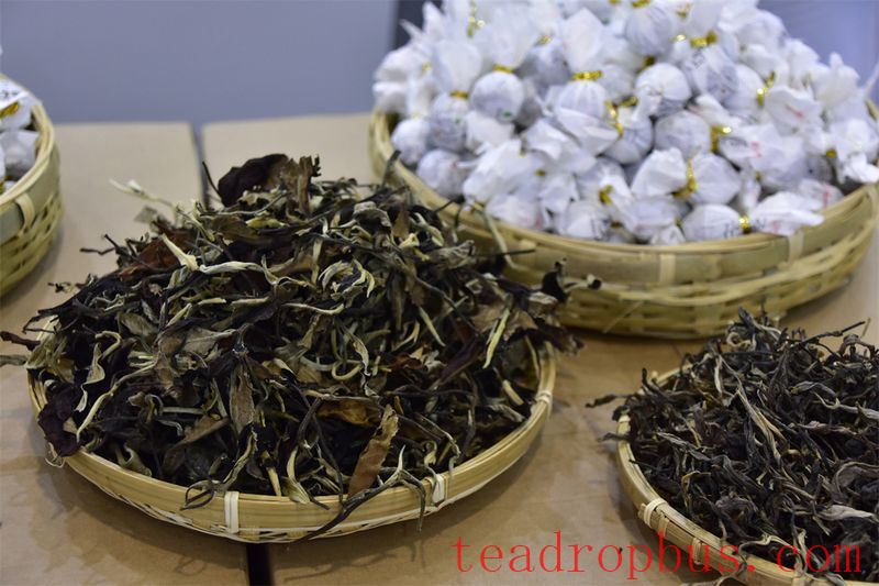 Taste White Tea and Embrace the Flavors of Nature-3