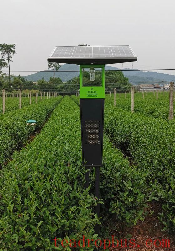 Application and Development of Physical Control Techniques in Tea Gardens-5