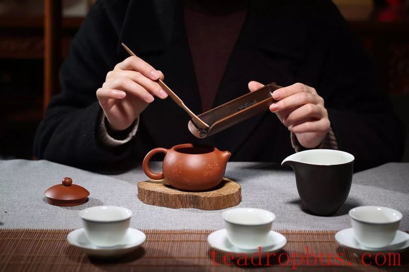 For the Sake of Your Teapot! Don't Drink Tea Like This!-4