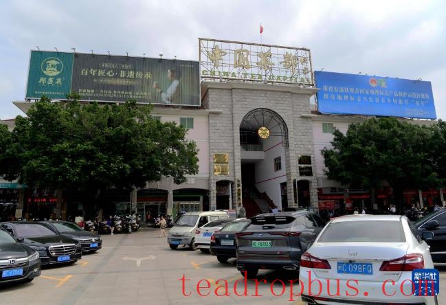 Fujian's Mountains Yield Tea Leaves, Scent Travels Thousands of Miles-14