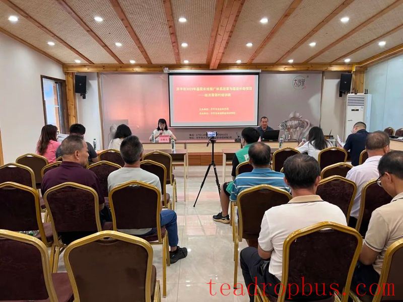 Kaiping Agricultural Skills Lecture —— Tea Garden Planning and Planting Management-4