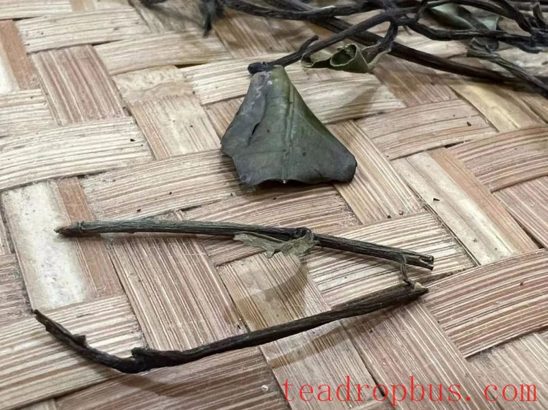 Is the Fuding White Tea Production Process Simple? The Challenge Lies in Withering!-4