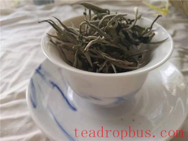 How to Drink White Tea Cake-2