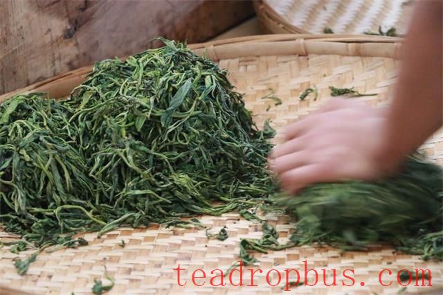 Is the Kneading Process of Pu'er Tea Really Crucial?-2