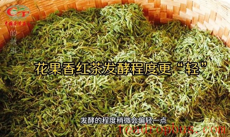 National Intangible Cultural Heritage Inheritor - Lin Hong on the Making Skills of Fruit and Flower Aromatic Black Tea-2