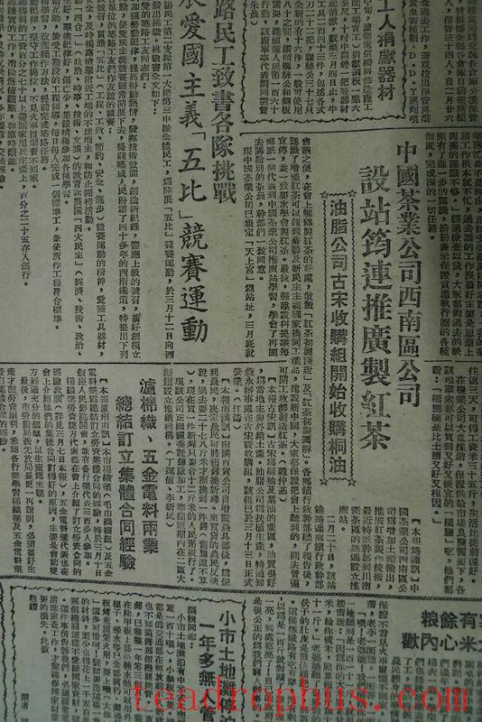 The Story of Yibin's 'Sichuan Hong Gongfu' Black Tea: Part Five - The Birth of Sichuan Black Tea-2