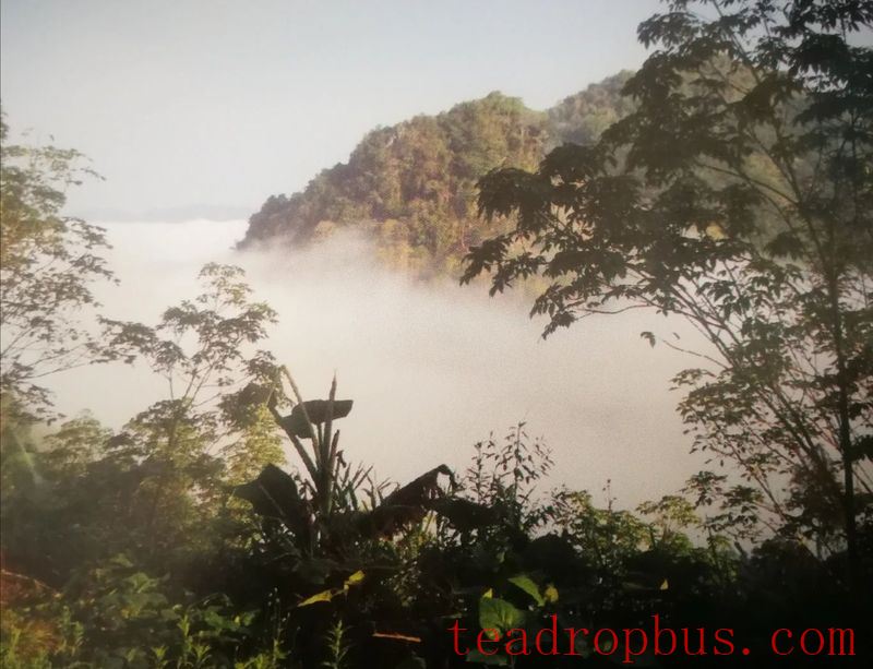 A Walk in the Tea Region of Tianba · Sanhe Society, Yiwu Village, Mengla County, Xishuangbanna Dai Autonomous Prefecture-1
