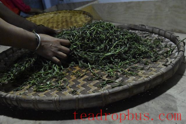 Puer Tea Production Techniques-3