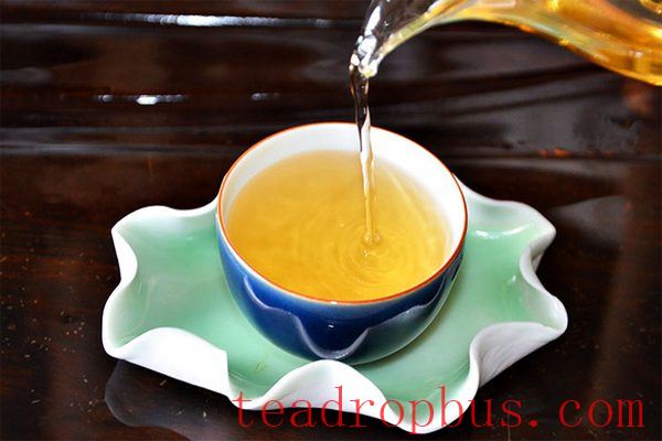 Tea Brewing Guide: Enjoying the Wonderful Process of Every Cup-1