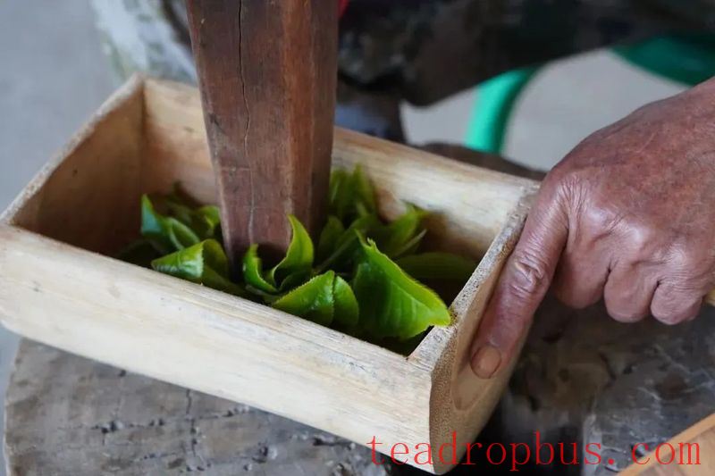 International Tea Day on May 21: Experience Diverse Tea Drinking in Yunnan-8