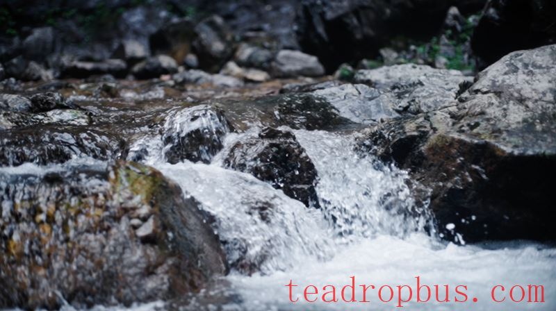 A Taste of Wuyi's Scenery in a Cup of Clear Tea-5