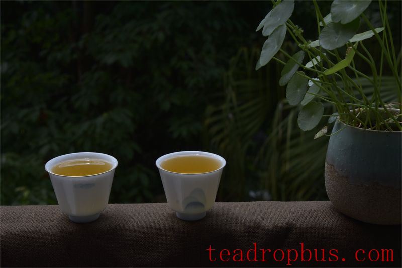 The Autumn Melody and the Fragrant Tea, Painting a Scroll of Poetic Dialogue Between Tea and Autumn-1