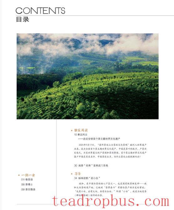 Jingmai Chronicles: Step into the World's First Tea-Themed World Heritage Site-1