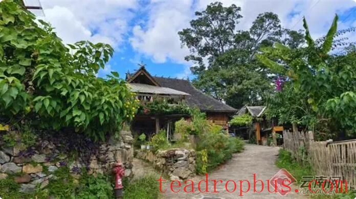 Jingmai Mountain's Faith in the 