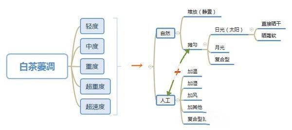 A Discussion on the Withering and Drying Processes of White Tea-3