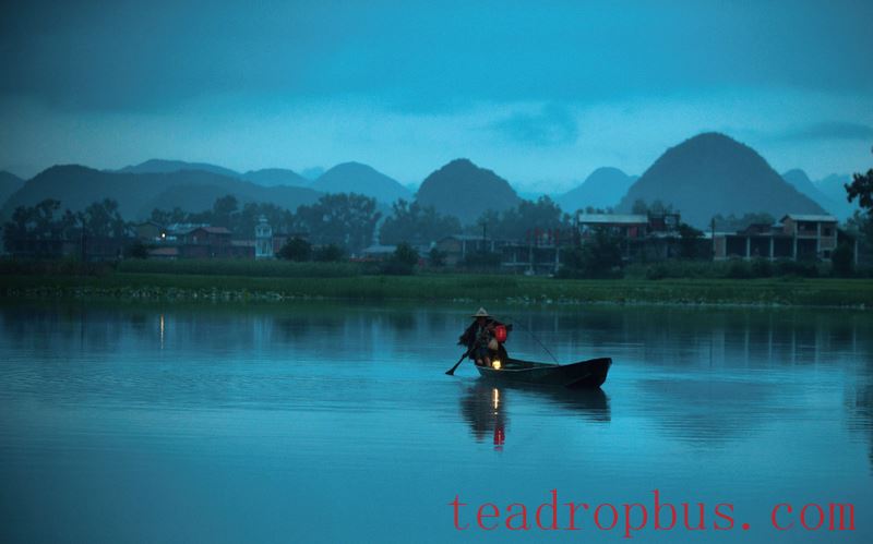 Puer Embraces the Breezes and the Moonlight, Each Cup Bears Unique Flavors-3