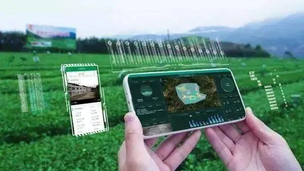 Research Progress on Intelligent Management of Tea Tree Planting-1