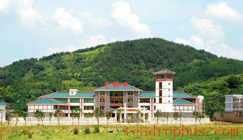 Wei Yin Tea Estate: Zen in the Aroma of Tea-13