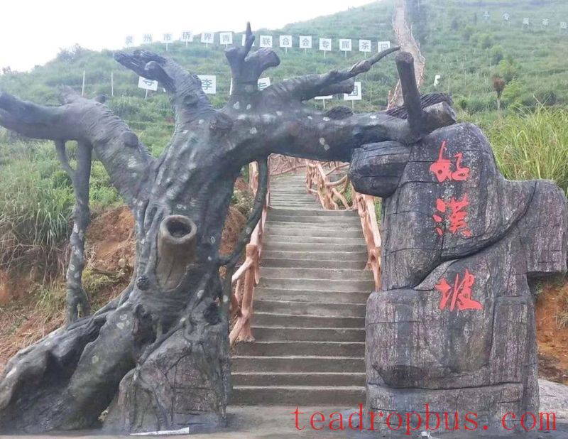Guoxin Green Valley, One of the Top Ten Gold Medal Tea Estates in Anxi: The Romance and Poetry of Staying Amidst the Tea Garden-17