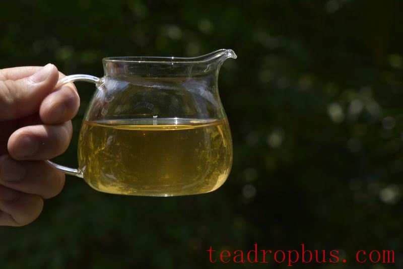 The First Infusion of Tea: To Drink or Not to Drink, and the True Purpose of Washing Tea-3