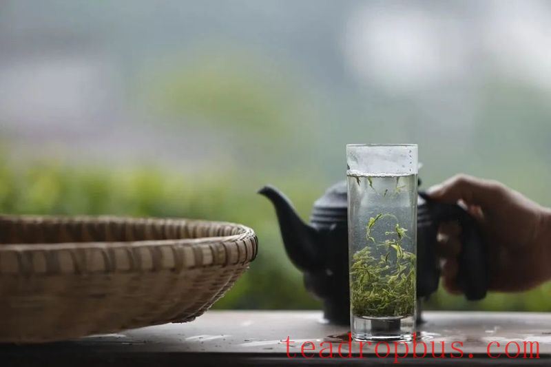 Brew a Perfect Cup of Enshi Jade Dew Green Tea and Enjoy a Refreshing Summer-2