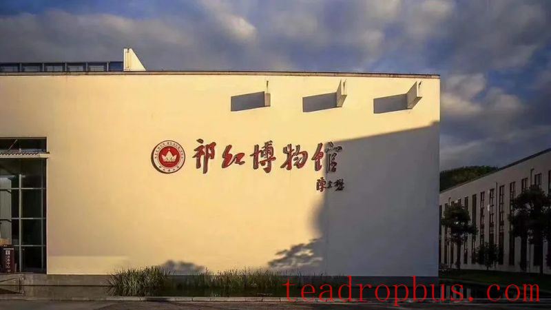 What Makes a Tea Mountain Tour Different from Regular Tourism?-2