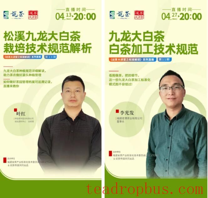 How is the Distinctive JiuLong DaBai Tea Cultivated and Processed?-1