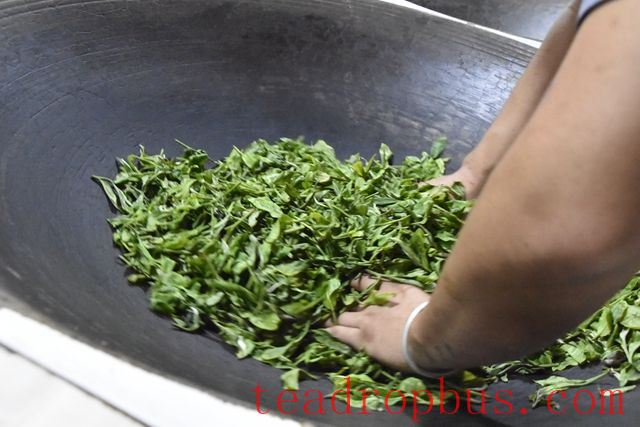 Why is high temperature used in the fixation process of green tea?-1