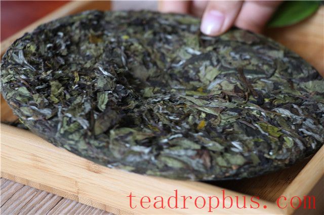 The Art of White Tea: A Comprehensive Guide from Brewing Cake Tea to Appreciation-2