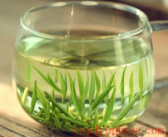 What are the effects of drinking tea daily on the body?-3